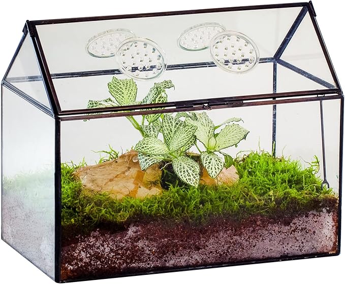 NCYP Glass Terrarium with Lid and Air Holes for Snails - 10.2" x 5.9" x 8.2" House Shape Geometric Clear Terrarium, Indoor Tabletop Decor Black (Plants Not Included)