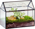 NCYP Glass Terrarium with Lid and Air Holes for Snails - 10.2" x 5.9" x 8.2" House Shape Geometric Clear Terrarium, Indoor Tabletop Decor Black (Plants Not Included)