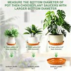 12 Packs Terracotta Wave Plant Saucer - Plastic Flower Pot Drip Trays/Durable Heavy Duty Red Plant Tray for Indoor and Out Door Plant(6/8/10 inch)