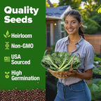 HOME GROWN Vates Collard Green Seeds Bulk Mix | 300+ Heirloom Non-GMO Seed for Fall & Winter Garden Planting | High Germination Frost Tolerant & Slow to Bolt | Nutritious Leafy Greens