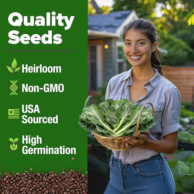 HOME GROWN Vates Collard Green Seeds Bulk Mix | 300+ Heirloom Non-GMO Seed for Fall & Winter Garden Planting | High Germination Frost Tolerant & Slow to Bolt | Nutritious Leafy Greens