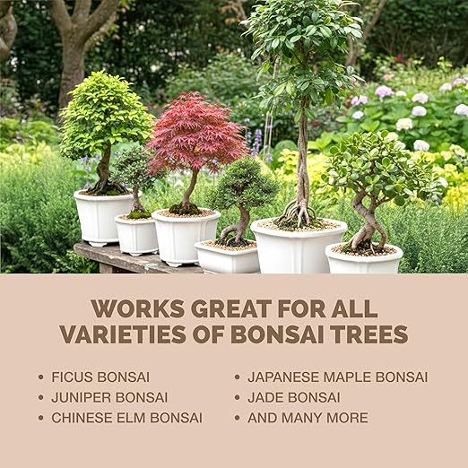 Bonsai Fertilizer – Liquid Plant Food for Healthy Growth, Vibrant Foliage & Stronger Root Development, 32 oz