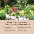 Bonsai Fertilizer – Liquid Plant Food for Healthy Growth, Vibrant Foliage & Stronger Root Development, 1 Gallon