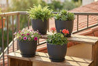 8 Inch Plant Pots Set of 2, Plastic Planters with Drainage Holes and Tray, Flower Pots for Indoor Outdoor Plants and Flowers (Black)