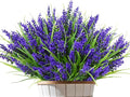 Kinisty 20 Bundles Outdoor Artificial Plants and Flowers, UV Resistant Faux Monkey Grass with Lavender and Fake Plastic Greenery for Spring Summer Outside Planter Porch Garden Decor, Purple