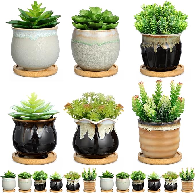 Remerry 12 Pcs Small Succulent Pots Bulk with Drainage Assorted 3.5 Inch Mini Ceramic Succulent Planters Pot with Coaster Bamboo Plant Tray Planting Pots for Home Office Garden