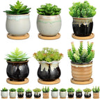 Remerry 6 Pcs Small Succulent Pots Bulk with Drainage Assorted 3.5 Inch Mini Ceramic Succulent Planters Pot with Coaster Bamboo Plant Tray Planting Pots for Home Office Garden