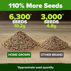HOME GROWN Premium Herb Seeds Variety Pack - 20 Heirloom Herb Seeds for Planting - 6,000+ Non-GMO Seeds with Plant Markers - Indoor Outdoor Hydroponic Herb Garden - Culinary & Medicinal Herbs