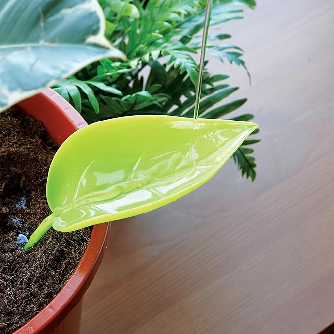 Bubblegum Stuff Foliage Funnels - Precise Watering Tool - Six Stylish Plant Funnels - Perfect for Plant Parents - Great Gardening Gift for Friends