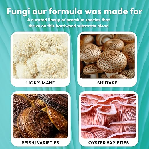 Mycelium All-in-One Mushroom Grow Kit – 6 lb Sterilized Enhanced Substrate with Alder, Soy Hull, Millet & Milo Grains | Ready-to-Inoculate Bag with Injection Port | Easy Gourmet Mushrooms at Home