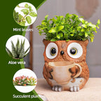 Saysmile Unique Owl Plant Pots Indoor, Cute Small Succulent Pots with Drainage Hole, Watering Owl Planters for Indoor Outdoor Plants, Resin Flower Pot for String of Pearls, Gift Ideas for Mother