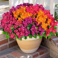 Spring Artificial Bougainvillea Flowers Fake Plants for Outdoors Porch Planters, UV Resistant Faux Realistic Silk Colorful Greenery for Summer Outside Patio Decoration, 8 Bundles
