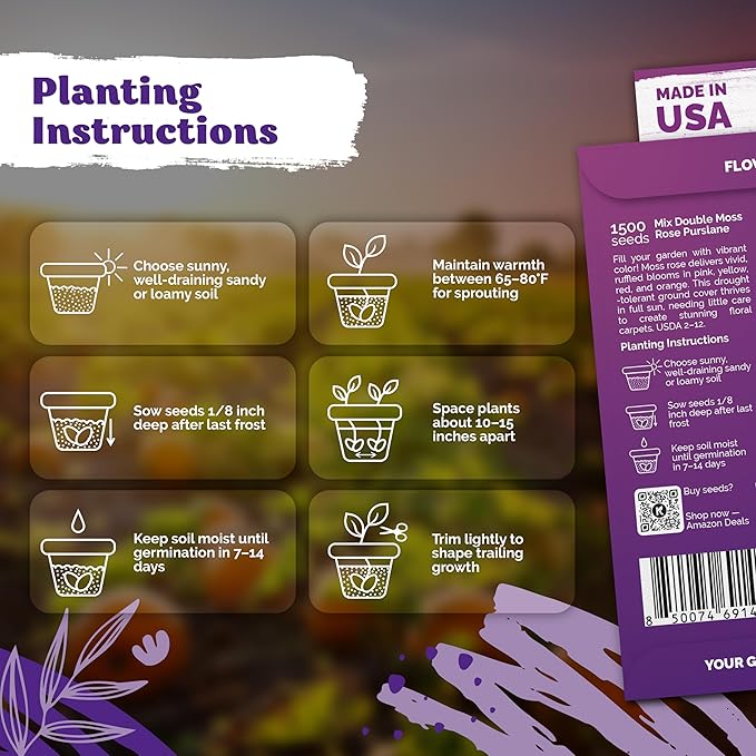 KVITER 15,000 Mix Moss Rose Seeds for Planting (Portulaca grandiflora) - Heirloom Flowering Ground Cover, Purslane Double Flower Portulaca Seed - Flower Seeds to Plant Outside, Beds, Baskets