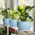 SQOWL Ceramic Planter - 8 inch Pot for Plants Indoor Outdoor, Modern Ceramic Flower Pot with Drainage Hole and Saucer, Decorative Round Planter, Home Office Decor, Plant Lovers Gifts, Blue