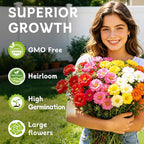 Moss Rose Seeds, 40,000+ Bulk Flower Seeds for Planting Outdoors(99% Pure Live, Non-GMO), Mixed Colors and Large Blooms, Attracts Pollinators, Easy to Grow