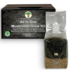 MycoHaus Mushroom All in One Growing Kit with Injection Ports | Indoor Grow Bags for Mushrooms | Home Cultivation Supplies | Without Spores | 1 Pack