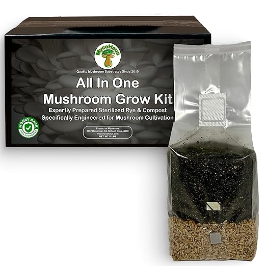MycoHaus Mushroom All in One Growing Kit with Injection Ports | Indoor Grow Bags for Mushrooms | Home Cultivation Supplies | Without Spores | 1 Pack