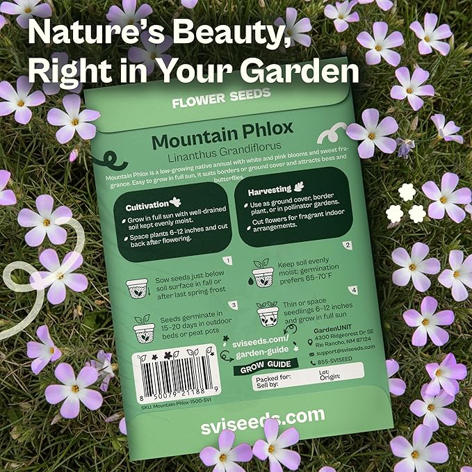 SVI 1500 Mountain Phlox Seeds (Linanthus grandiflorus) – Ground Cover Phlox Seed Packets Bulk, Sweet Fragrance Flower Garden – Heirloom Annual Purple Flower Seeds for Outdoor Garden, Containers