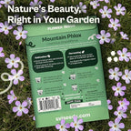 SVI 1500 Mountain Phlox Seeds (Linanthus grandiflorus) – Ground Cover Phlox Seed Packets Bulk, Sweet Fragrance Flower Garden – Heirloom Annual Purple Flower Seeds for Outdoor Garden, Containers