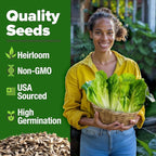 HOME GROWN Romaine Lettuce Seeds, Paris Island Bulk Pack, 7000+ Lettuce Seeds for Planting, High Germination Heirloom Vegetable Seeds,Works Indoor in Hydroponic Garden and Outdoor