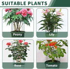 SYITCUN 8pack Peony Cages and Supports, 14 x 32 Inch Four Legs Peony Cage, Heavy-Duty Peonies Support Cages, Peony Ring for Roses, Hydrangeas, Sage, Peonies, Cucumbers, Tomato