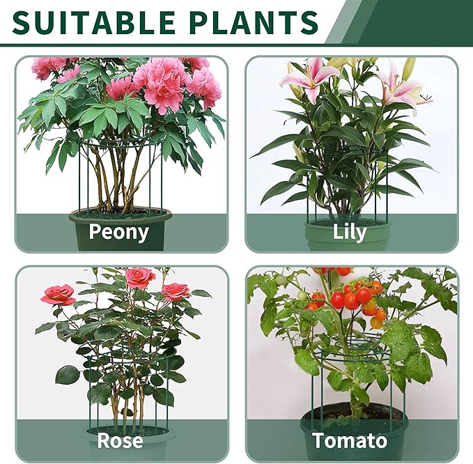 SYITCUN 8pack Peony Cages and Supports, 14 x 32 Inch Four Legs Peony Cage, Heavy-Duty Peonies Support Cages, Peony Ring for Roses, Hydrangeas, Sage, Peonies, Cucumbers, Tomato