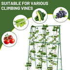 Compact A-Frame Plant Trellis for Peas, Beans & Small Climbing Plants - Rust-Resistant, Easy to Assemble, Lightweight Steel, Ideal for Raised Beds & Container Gardens(31" W x 47" H)