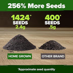 HOME GROWN Non GMO Italian Basil Seeds Bulk Pack 1,424 Sweet Large Leaf Basil Seeds for Planting and Heirloom Herb Seeds for Planting Indoors or Outdoors (Ocimum basilicum)