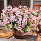 Artificial Flowers for Outdoor Fake Plants for Spring Decoration,Faux Eucalyptus Flowers for Planter UV Resistant Lifelike for Home Porch Garden (White/Pink)