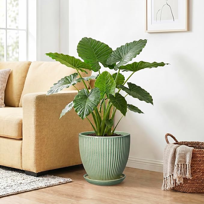 Ceramic Flower Pots, 10 Inch Plant Pot for Indoor Plants, Modern Round Planters with Drainage Hole and Saucer, Decorative Pots for Plants Indoor, Garden Home Decor, Plant Lover Gifts, Green