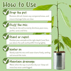 Soil Sunrise Avocado Tree Potting Soil Mix (12 Quarts) for Germinating, Growing and Repotting Avocado Plants
