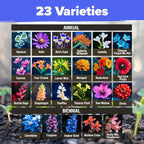 HOME GROWN Premium Wildflower Seeds Bulk - 134,000+ Non-GMO USA Native Seeds for Planting Outdoors - 23 Varieties Wild Flower Mix for Butterfly Garden, Perennial & Annual Flowers (3oz)