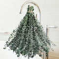 Dried Eucalyptus for Shower Hanging - 17'' Real Large Preserved Eucalyptus Stems Green Home Decor, 100% Made from Fresh Eucalyptus Leaves, Bathroom Shower Decor, Wedding, DIY (36PCS)