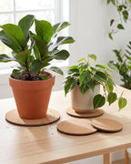 vensovo Cork Plant Coasters & Saucers 4/6/8/10 Inch – Absorbent Round Mats for Indoor Flower Pots, Planters, Houseplants, Surface Protector for Table & Floor, 8 Pack