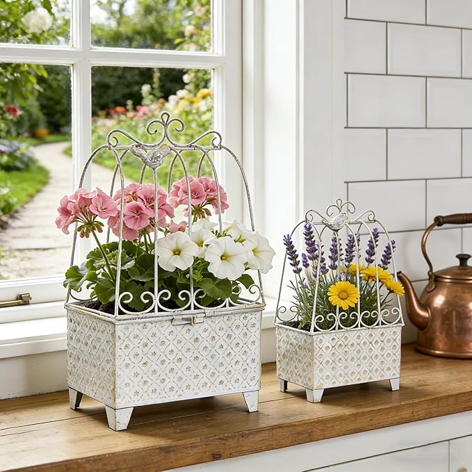 2-Piece Vintage Metal Birdcage Planter Set, Rustic Distressed Plant Holder, Farmhouse Floral Containers for Indoor Outdoor Garden, Patio & Tabletop Decor