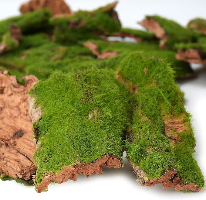 Assorted Artificial Moss Bark, Decorative Mossy Tree Bark for DIY Crafts, Fairy Gardens, Terrariums, Floral Arrangements (Realistic Green - 100gr)