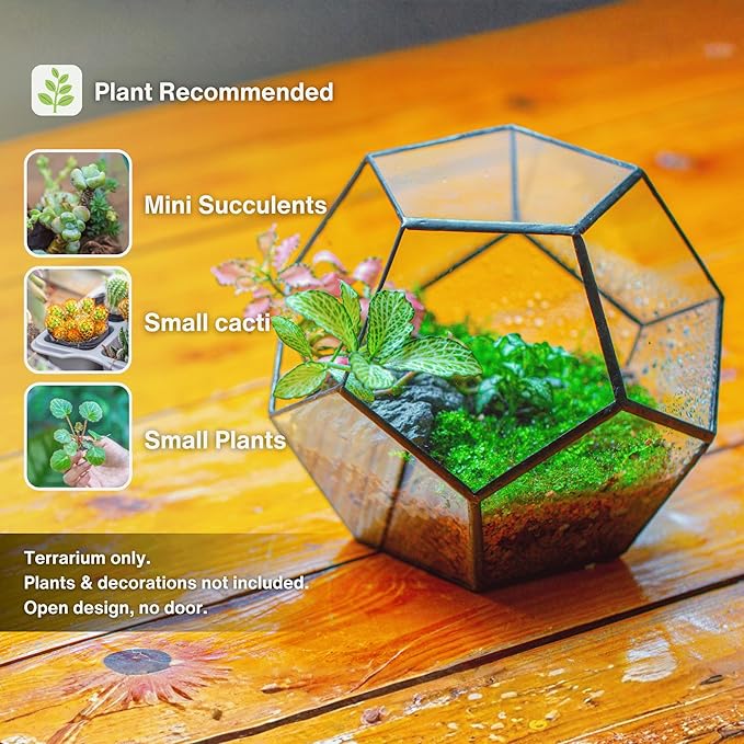 NCYP Small No Door Terrarium Planter - 6.8" x 6.8" x 5.9" Open Geometric Glass Terrarium Pot for Mini Succulents, Small Cactus - Home Tabletop Miniature Decor, Black (No Plants)