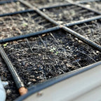 Garden Grid Watering System - 3x3 Standard | Raised Garden Bed Drip Irrigation System – But Better | Pre-Assembled, Waters Every Plant Evenly, 1-Min Setup | Square Foot Gardening | 33.5"x33.5"