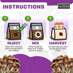 All-in-One Mushroom Grow Kit (1-Pack) – 3lb Mini Bags with Sterilized Grain and CVG Substrate, Injection Ports Included, for Growing Mushrooms at Home (Spores Not Included)