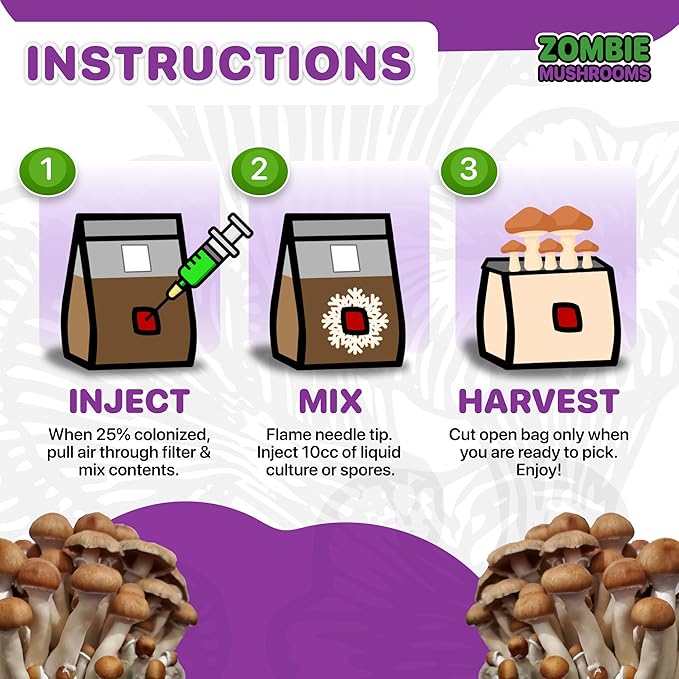 All-in-One Mushroom Grow Kit (1-Pack) – 3lb Mini Bags with Sterilized Grain and CVG Substrate, Injection Ports Included, for Growing Mushrooms at Home (Spores Not Included)