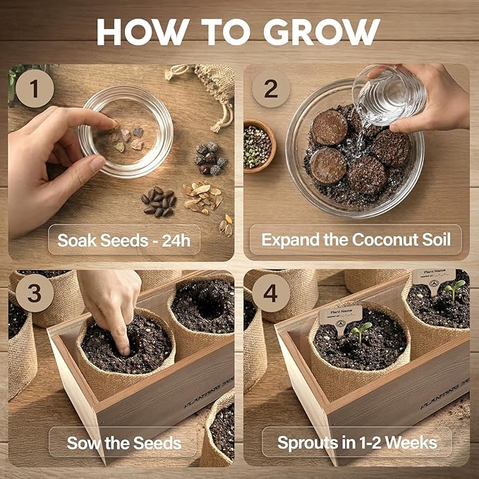 AVERGO Bonsai Tree Kit Classic - 5X Unique Japanese Bonzai Trees | Complete Indoor Bonsai Starter Kits for Growing Trees – DIY Gardening Gifts for Mother, Women & Men