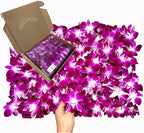 Miami Fresh Orchid Loose Bloom PERISHABLE flowers OrchidClub USA Sunne Tropical DIY lei, food & drink decoration (100 PURPLE)