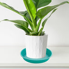 2 Pack of 20 21 inch Plant Saucer Round, Deep Plant Saucers for Pots, Heavy Duty Plastic Plant Drip Tray for Indoors Outdoor, Bird Bath Bowls, Plant Trays for Planter 19-22" (21 inch, Teal)