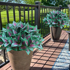 Artificial Plants Faux Greenery for Outdoor Outside UV Resistant, Fake Silk Realistic Coleus Bushes Shrubs for Porch Planters Front Door Patio Pots Spring Summer Decor, 12 Bundles