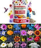 Home Grown Premium Wildflower Seeds Bulk - 60,600+ Perennial Flower Seeds Mix for Planting Outdoors - 24 Variety Wildflower Seed Mix - Attracts Bees, Butterflies & Birds - 2oz Wild Flower Seeds