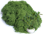 5.3oz Green Fake Moss Artificial Floral Moss Faux Plant for DIY Crafts Fairy Garden Pot Filler Vase Greenery Decorating Project Indoor Model Making Walls Glass Decor Forlaoers