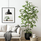 Bailikang Artificial Ficus Tree Indoor 6ft, Large Potted Faux Tree with Realistic Silk Leaves & Trunk for Home Office, Living Room Corner Decor