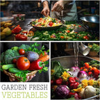 Seed Needs Lettuce Seeds Variety Pack for Planting a Collection of 8 Individual Varieties - Packets Includes Romaine, Iceberg, Oakleaf, Lollo Rosso and More