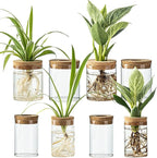 Glass Plant Propagation Stations for Plants – Set of 8(4 Large & 4 Small) Hydroponic Vases for Plant Cuttings,Flower Arrangements, Home & Office Decor–Desktop Vases for Living Room, Bedroom (8)