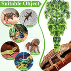 Suncalla Reptile Plants Terrarium Hanging Plants Vines Boston Climbing Terrarium Plant with Suction Cup for Bearded Dragons Lizards Crested Gecko Snake Crab Tank(Popular Series,Green)